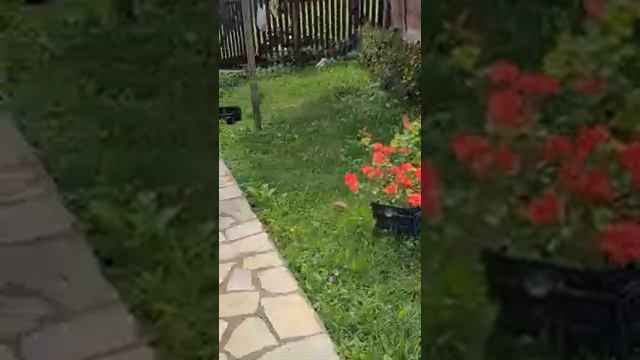 Kod  ujaka Zlaje, selo Ravnje    Valjevo .           Avgust 2022. смотреть онлайн