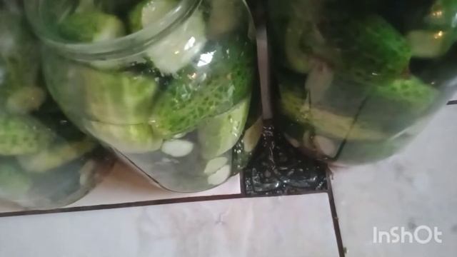 Смачні мариновані огірочки назиму.Смакуємо огірочками зимою! смотреть онлайн
