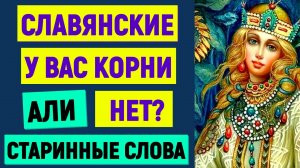 У ВАС СЛАВЯНСКИЕ КОРНИ АЛИ НЕТ ?