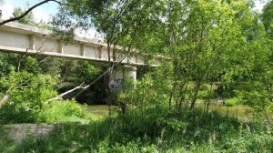 Заброшенный железнодорожный мост через реку Снежеть