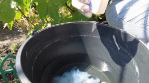 БОЛЕЗНИ ЛИСТЬЕВ ВИНОГРАДА - ОБРАБОТКА ВИНОГРАДА ОТ БОЛЕЗНЕЙ ЛЕТОМ ПО СХЕМЕ