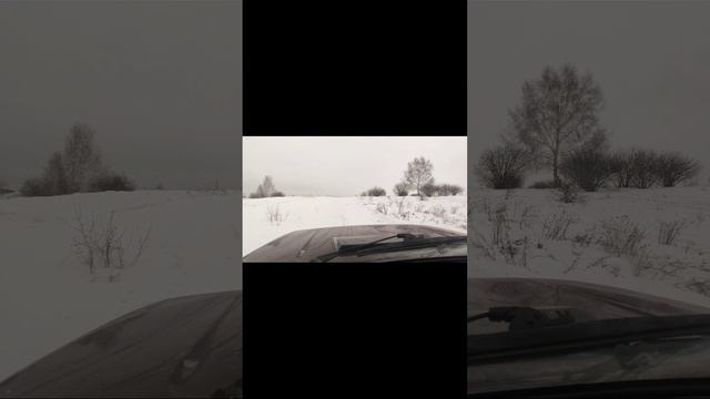 Нива): смыслу вопреки