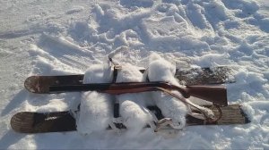 Лучшая охота на зайца в 2024 году! Часть 4, Канада