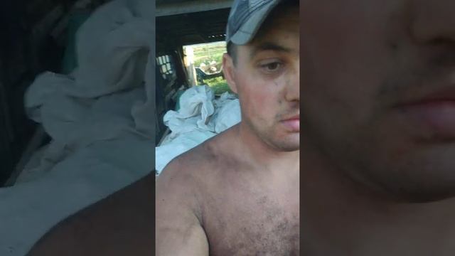 Мини-трактор Белорус работает в поле смотреть онлайн