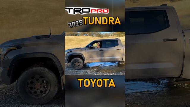 Toyota Tundra TRD Pro 12