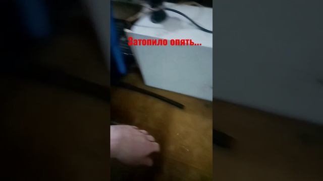 Потоп в мастерской) #пришлавесна #март #весна2023