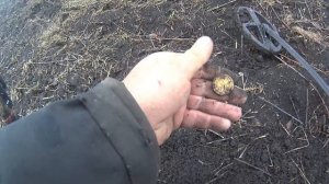 Открытие сезона 2025