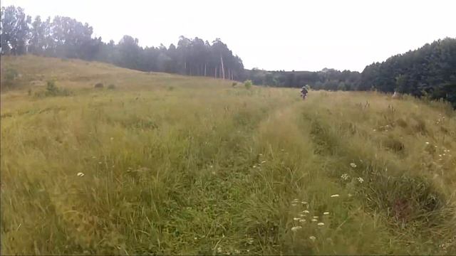 Kayo 150E  AVM Gorilla 110