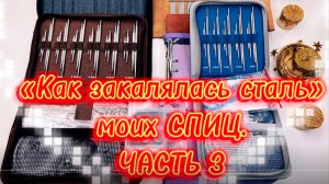 «Как закалялась сталь» моих СПИЦ… С.3.