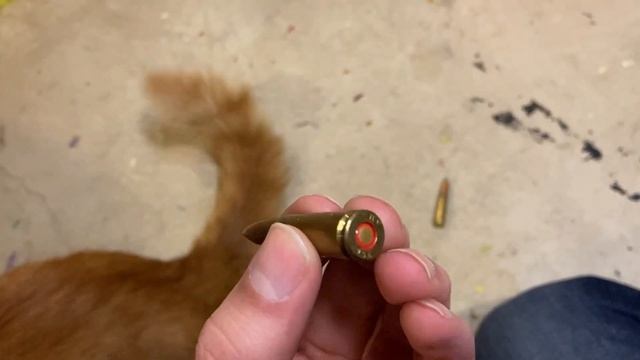 Cinnabon and the Yugoslavian M70AB2 смотреть онлайн