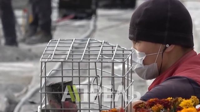 Тарых музейинин тагдыры \\ 10.04.2018 \\ Апрель ТВ смотреть онлайн