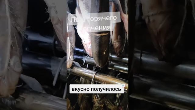 Лещ горячего копчения, первый раз делаю, получилось вкусно смотреть онлайн