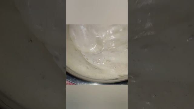 red velvet cake #shorts #homemade cake #short video #dreamybakes ✨️ смотреть онлайн