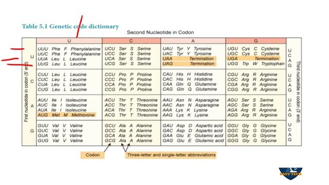Genetic Code | Molecular Genetics | 12 class | Zoology | Science Easy Tech