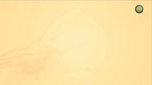 Фильм - Мангазея (2014 г.)