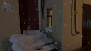 С Рождеством! ❄️❄️❄️