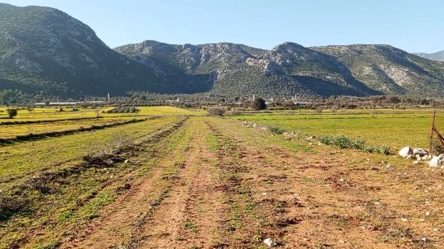 Fethiye Seydikemerde Satılık Müstakil köy içi 10.611 Metrekare Arazi ve Zeytin Bahçesi.🏡🌹😎👍 смотреть онлайн