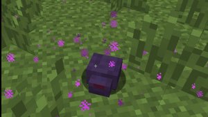 Интересные факты об эндер - чешуйнице