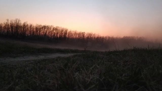 Miért ment tönkre a Cougar motorja? Olajszivattyú hiba jelei. смотреть онлайн