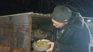 Целый день ДЕЛА, ДЕЛА... Но НУТРИИ на первом месте. 9.12.24