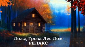 Шум Дождя И Звук Грозы В Лесу - 295 минут релаксации.