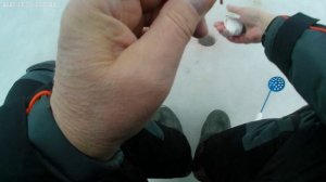 Густера ловится одна за одной.