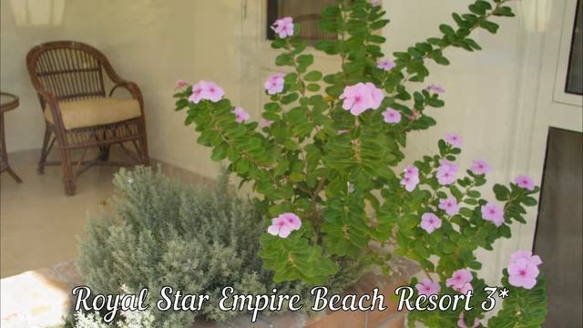 The Three Corners Triton Empire 3*/Royal Star Empire Beach Resort 3* hotel. ОБЗОР 2-х ОТЕЛЕЙ ХУРГАДЫ