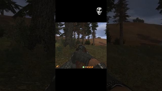 S.T.A.L.K.E.R.  ОП 2.2 + Mod. LSC #Shorts к серии 5.1 смотреть онлайн