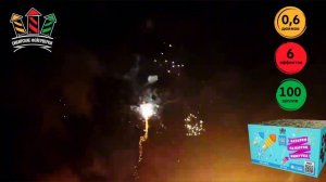 SB118 Минутка 100*0,6