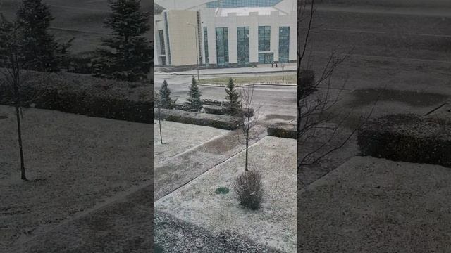 Краснодар - а снег идёт - 0 °C 🌨️❄️ - 13 января 2025 г.