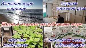 Азовское море, Строим гостевой дом, Какая всхожесть семян с Валдберисс-Петунии, Катарантусы,Бегонии