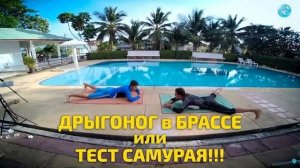 Техника Плавания брассом: упражнение Дрыгоног и тест Самурая