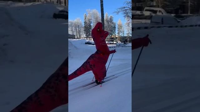 Приглашаю 11.01.2024 на мою лекцию 19.30 в спортмарафон. регистрация на сайте. #коньковыйход #лыжи смотреть онлайн