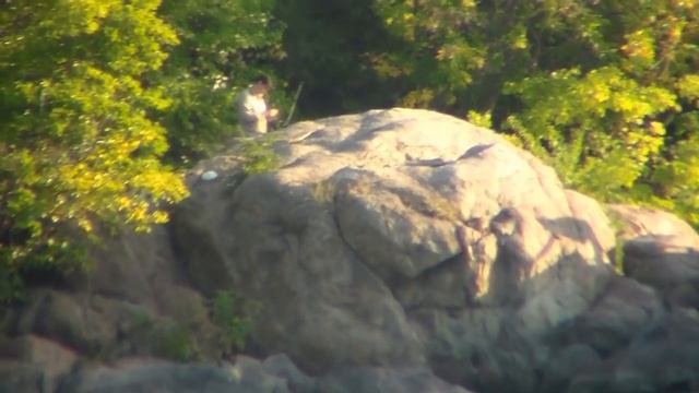 Скала" Лазни". Запорожье . о. Хортица. 7 сентября 19г. смотреть онлайн