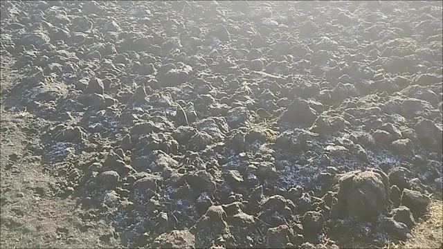 Огород в межсезонье.