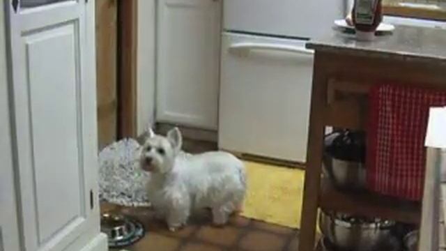 Abby and Heinz Ketchup смотреть онлайн