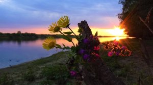 Виктор Третьяков - Летняя ночь