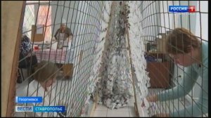 Пенсионеры Георгиевского округа помогают в тылу бойцам СВО