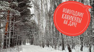 Новогодние каникулы на даче #новыйгод2025 #каникулынадаче #надачезимой