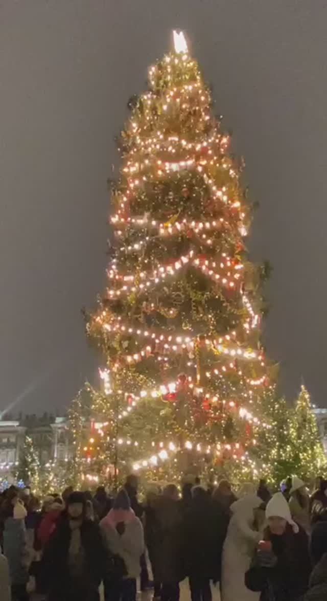 ГЛАВНАЯ Ёлочка - Красавица 💥НОВОГОДНИЙ Санкт-Петербург 2025