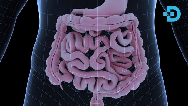 АНЧА ЙИЛЛАР ҚИЙНАЛДИМ. ВА ЖИГАРИМНИ УШБУ ИЧИМЛИК ҚУТҚАРДИ. ЖИГАРНИ ЁҒДАН ТОЗАЛАШ смотреть онлайн