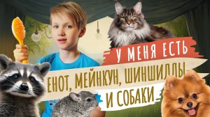 Мой питомец. Как живут енот, кот, шиншиллы, две собаки и Лев в одной квартире?