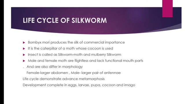 SERICULTURE.....by Dr Saman Siddiqui
