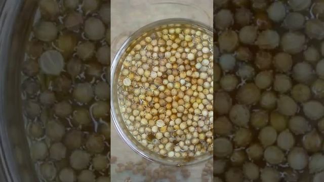 Dhaniya Pani Ke Fayde in 1 Minute | धनिया पानी पीने के फायदे #shorts #youtubeshorts смотреть онлайн