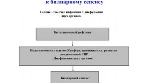 -Лекция_ Острый холангит и билиарный сепсис