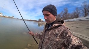 Чехонь на КРЮЧКЕ: Ловля чехони на попловочную удочку