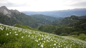 Лучшая музыка, полный релакс, для погружения в свои мечты