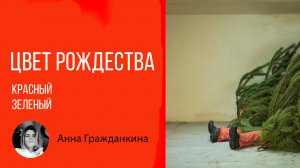 НИ ДНЯ БЕЗ КАДРА. Тема «Цвет Рождества. Красный, зеленый».