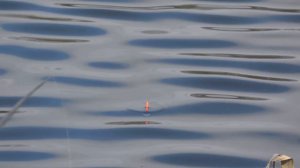 ТАК ЛОВИЛ МОЙ ДЕД... Рыбалка на ПЬЯНЫЙ ПОПЛАВОК в апреле 2024. ПОПЛАВОЧНАЯ ЛОВЛЯ КРУПНОГО ОКУНЯ