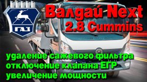 ГАЗ Валдай Next 2.8 Cummins: удаление сажевого фильтра, отключение клапана ЕГР, увеличение мощности